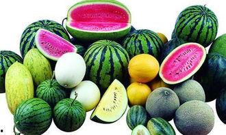 蓝奏吃瓜链接,一场网络热议背后的真相