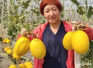 牌阵吃瓜,吃瓜群众的智慧盛宴