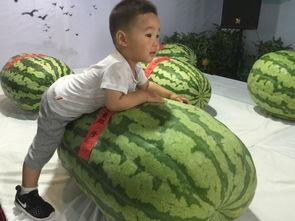 运城吃瓜事件最新,一场网络狂欢背后的真相与反思