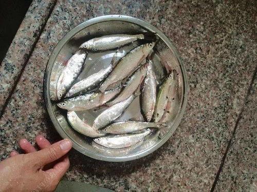 浪里白条吃瓜视频,揭秘娱乐圈幕后真相