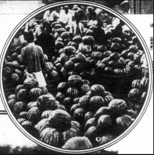 上海热门吃瓜事件,揭秘近期热门吃瓜事件背后的真相