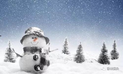 雪人吃瓜的反应,笑果连连，揭秘冬日里的欢乐瞬间