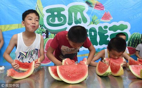 吃瓜群众吃西瓜游戏,吃瓜群众畅享西瓜盛宴