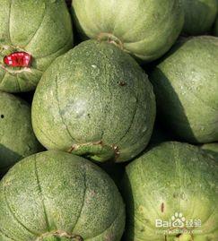 空腹吃瓜好吗,健康饮食的智慧选择