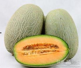 大象吃哈密瓜,揭秘大象与哈密瓜的奇妙邂逅