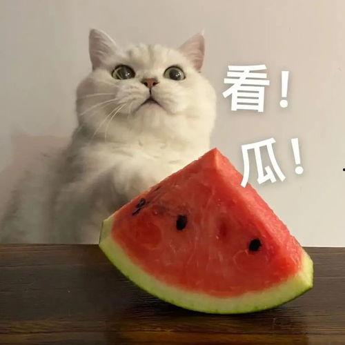 抖音田水三心吃瓜,揭秘抖音热门吃瓜事件背后的真相