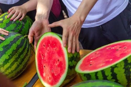 信阳学院今天吃瓜